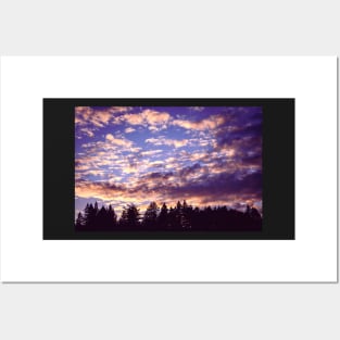 Sunset clouds and redwood trees Posters and Art